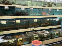 水产区-秋姐美食店(旅游大道店)