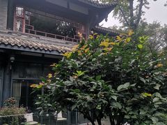 -大妙火锅·非物质文化遗产(东湖公园店)