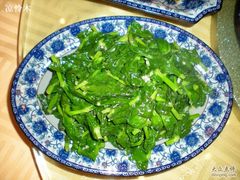 鸡油豆苗-海王老记