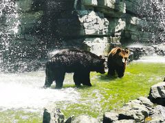 -北京野生动物园