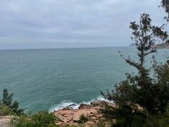 -广东惠东海龟国家级自然保护区