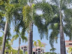 -三亚西岛海洋文化旅游区