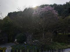 -荆川公园