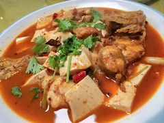 -煲来饱去冷水鱼