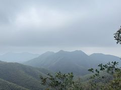 -紫藤园·天目湖大鱼头(南山竹海店)