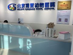 -北京观赏动物医院·24小时大型综合·猫专科·异宠专科