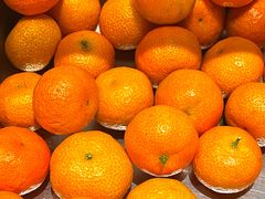 -野妹火锅(北京路店)