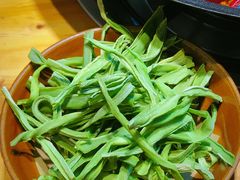 -阳阳老火锅(小南门店)