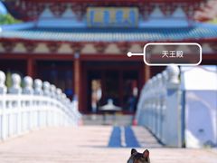 -莆田南少林寺