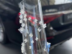-利星行天竺之星汽车有限公司