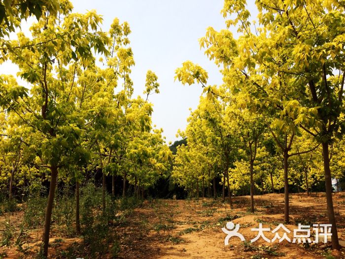 203景区图片 - 第2张