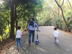 -滴水岩森林公园