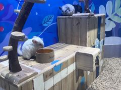 -海合安青岛极地海洋公园