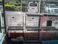 -牧马人宠物医院