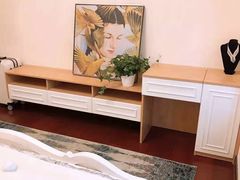-索菲亚衣柜橱柜全屋定制(真北红星店)
