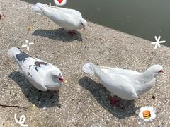 -上海交通大学(闵行校区)