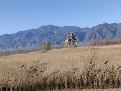 -野鸭湖国家湿地公园