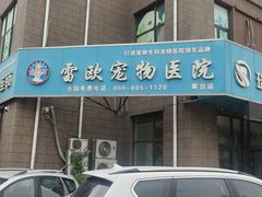-瑞派雷欧宠物医院·中兽医·眼科·急重症转诊中心(黄台店)