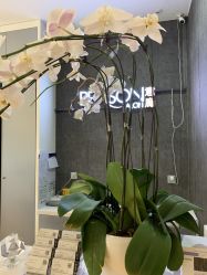 -意廊 Hair Salon