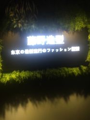 点击看大图 -藤野造型