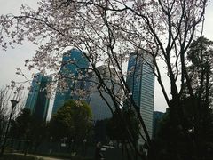 -重庆市江北嘴中央商务区中央公园