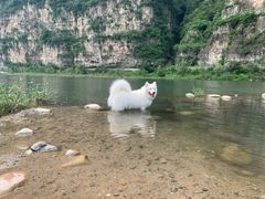 -十渡东湖港风景区