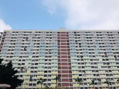 -彩虹村