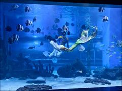 -顺德南宏海立方海洋公园