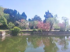 -无锡蠡湖国家湿地公园-蠡园