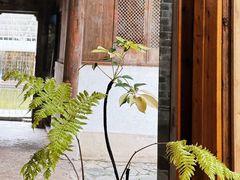 -中国宣纸文化园