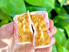 -沁园(南坪上海城店)