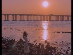 -宝安西湾红树林湿地公园