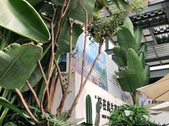 -云里小坐·小院里·团建·宴请·下午茶(三圣乡店)