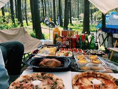 -上海共青森林公园