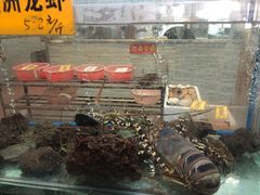 -寻味顺德·南记酒家·传统顺德菜·鱼生(广源路店)