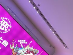 -老板恋上鱼(恒隆广场店)