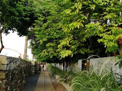 -喜洲吧·江畔老船厂·庭院餐厅(喜临院店)