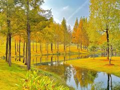 -龙湖星悦荟(颐和店)