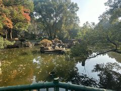 -东湖落雁景区