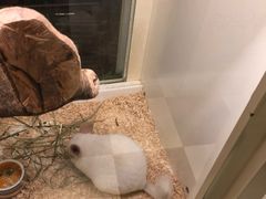 -龙猫仔乐园(惠福东路店)