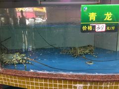 -马王堆海鲜水产市场
