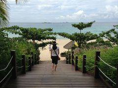 -三亚亚龙湾红树林度假酒店