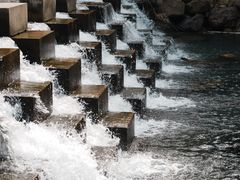 -北仑森林植物园