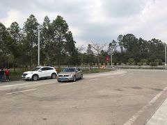 -石湾服务区-停车场