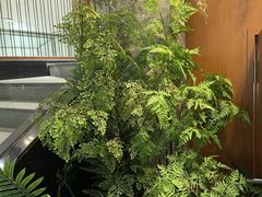 -江小渔鲜鱼火锅(西二道街店)