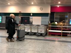 -米兰马尔彭萨国际机场