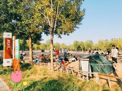 -东郊湿地公园
