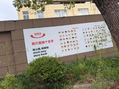 -来噻布布 Lets BUBU