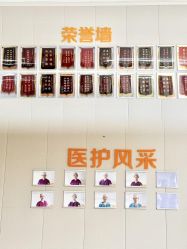 -艾博尔医院