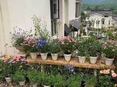 -杭州西湖风景名胜区-满觉陇四眼井